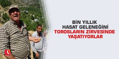 Bin yıllık hasat geleneğini Torosların zirvesinde yaşatıyorlar