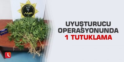 Uyuşturucu operasyonunda 1 tutuklama