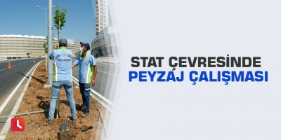 Stat çevresinde peyzaj çalışması