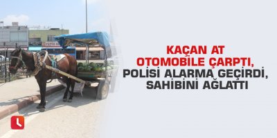 Kaçan at otomobile çarptı, polisi alarma geçirdi, sahibini ağlattı