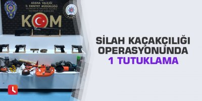Silah kaçakçılığı operasyonunda 1 tutuklama