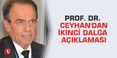 Prof. Dr. Ceyhan'dan ikinci dalga açıklaması