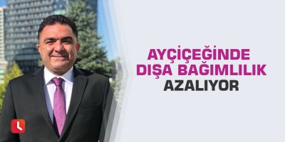 Ayçiçeğinde dışa bağımlılık azalıyor