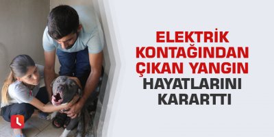Elektrik kontağından çıkan yangın hayatlarını kararttı