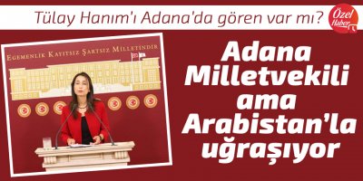 Adana Milletvekili ama Arabistan’la uğraşıyor