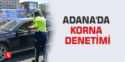 Adana'da korna denetimi