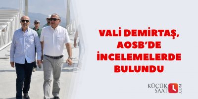 Vali Demirtaş, AOSB’de incelemelerde bulundu