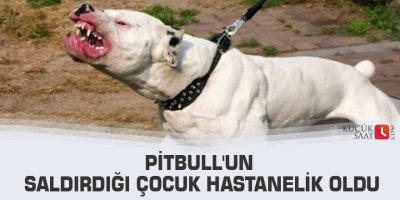 Pitbull'un saldırdığı çocuk hastanelik oldu