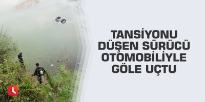 Tansiyonu düşen sürücü otomobiliyle göle uçtu