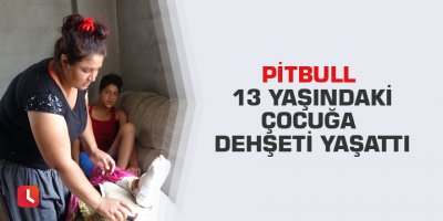 Pitbull 13 yaşındaki çocuğa dehşeti yaşattı