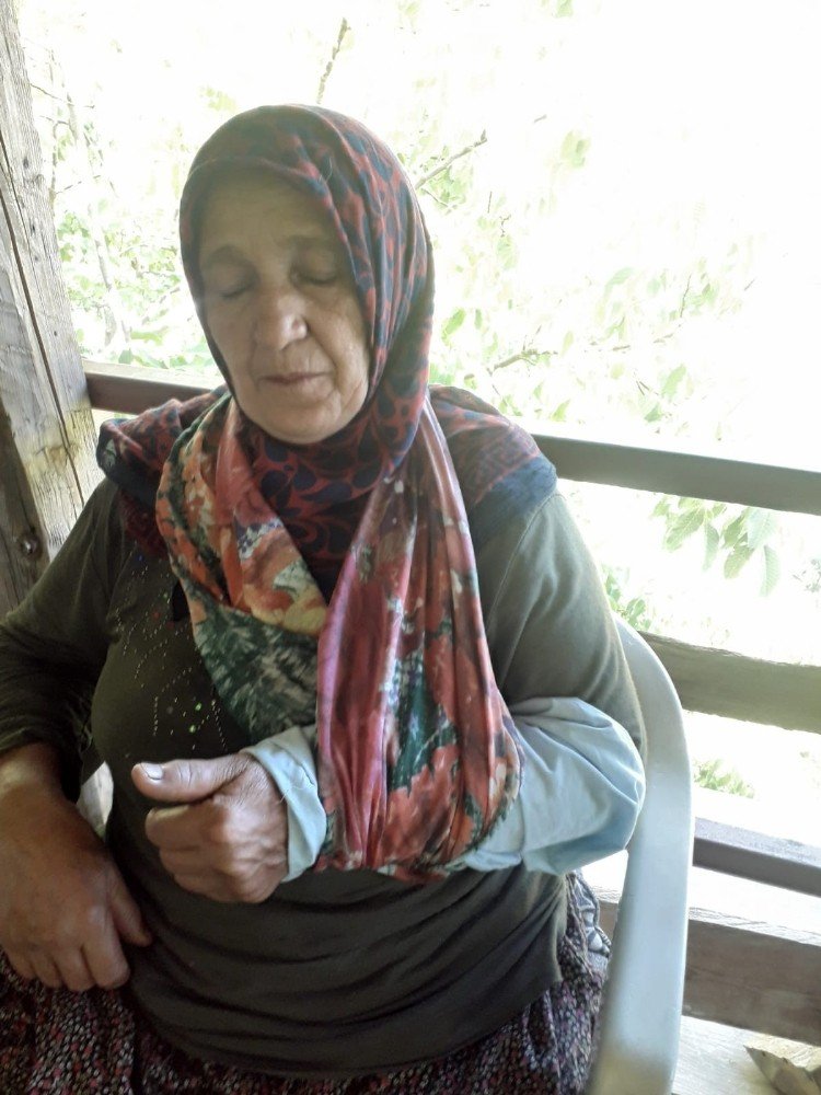 Feke'de Önen çiftinin elektrik çilesi