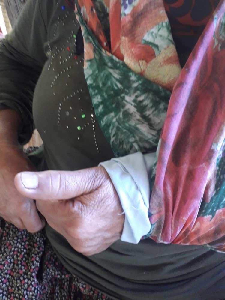 Feke'de Önen çiftinin elektrik çilesi