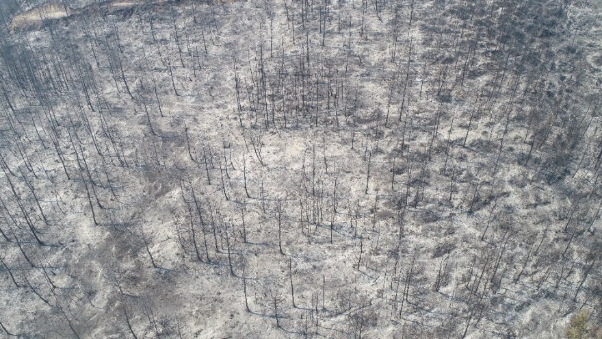 Adana’daki yangında tahribatın büyüklüğü böyle görüntülendi