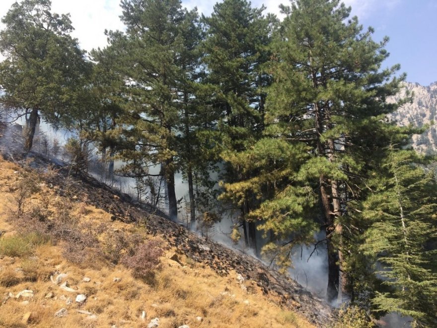 Pozantı’daki yangını söndürme çalışmaları sürüyor