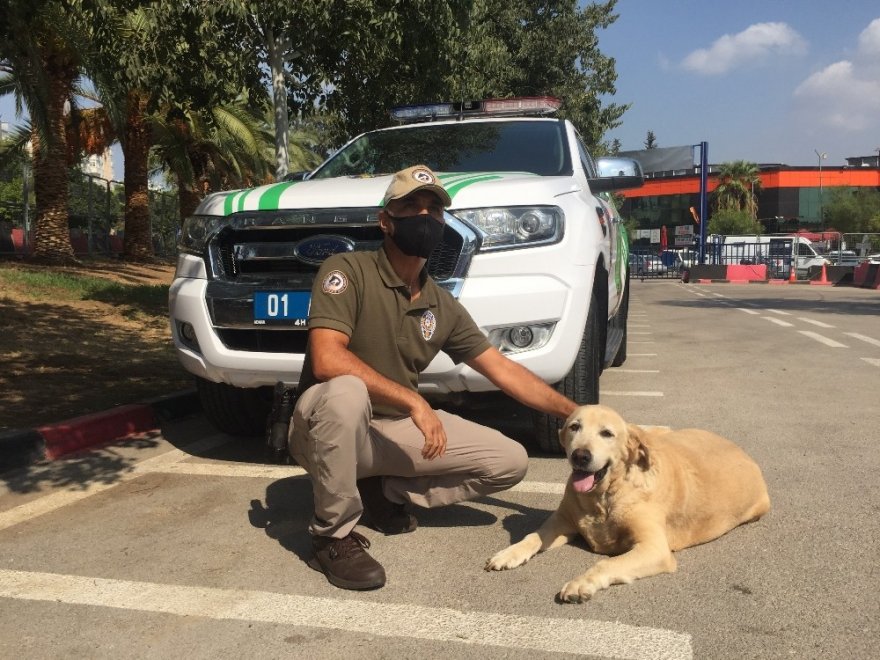 Çevre, doğa ve hayvanlar polise emanet