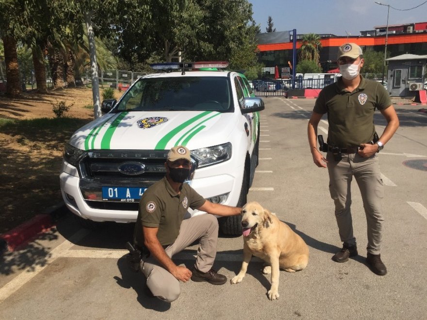 Çevre, doğa ve hayvanlar polise emanet