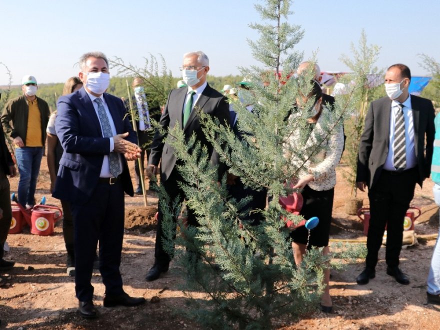 Adana’da 50 bin fidan toprakla buluştu