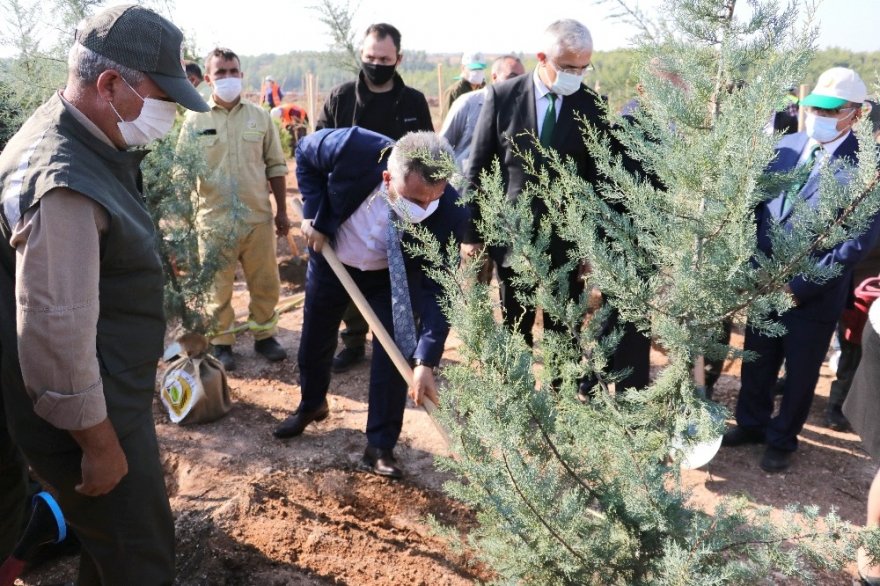 Adana’da 50 bin fidan toprakla buluştu