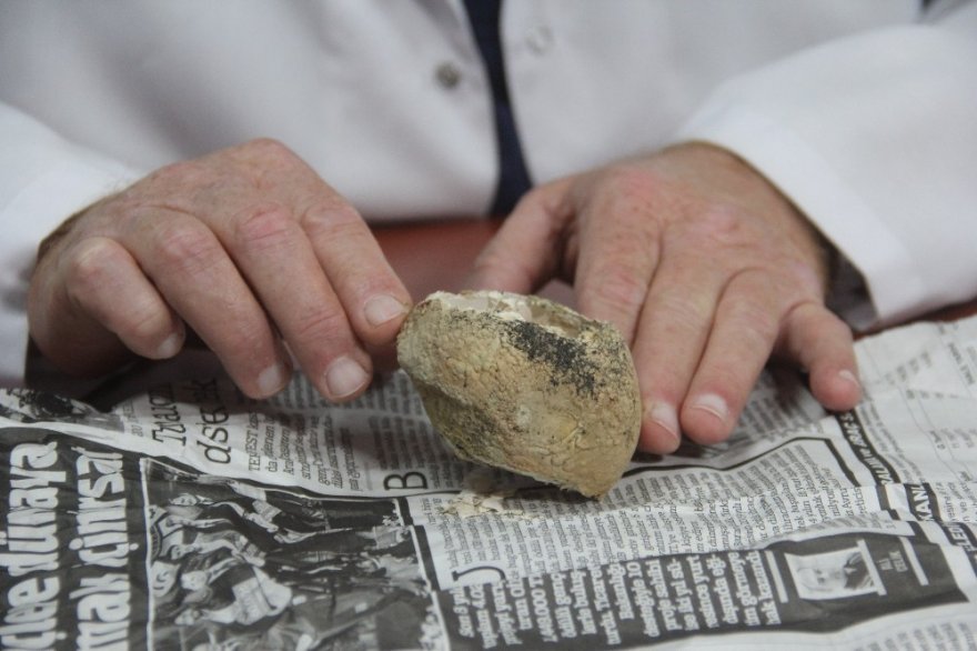 Milyonda bir görülüyor: 4 katmanlı yumurtadan yumurta çıktı