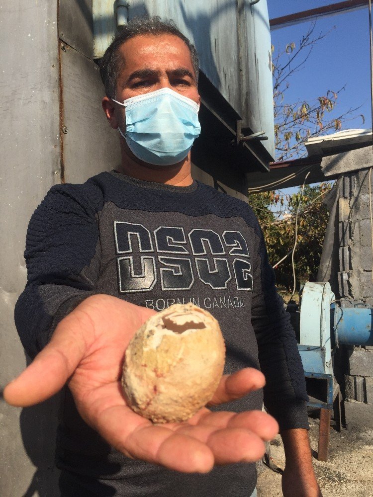 Milyonda bir görülüyor: 4 katmanlı yumurtadan yumurta çıktı