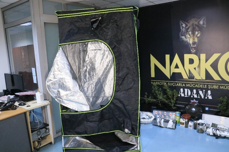 Evlerinde uyuşturucu yetiştiren baba ve oğlu yakalandı