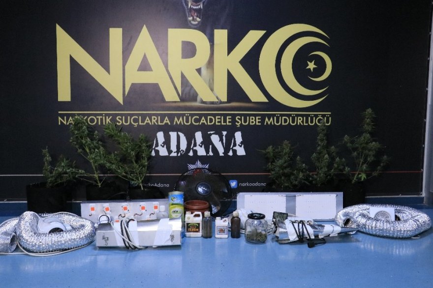 Evlerinde uyuşturucu yetiştiren baba ve oğlu yakalandı