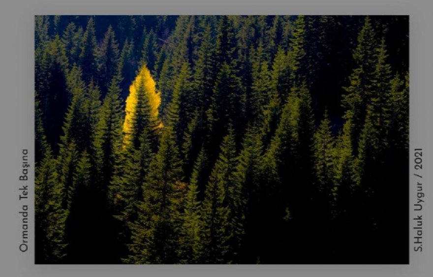 Haluk Uygur’dan çevrimiçi "Manzaralarım" fotoğraf sergisi