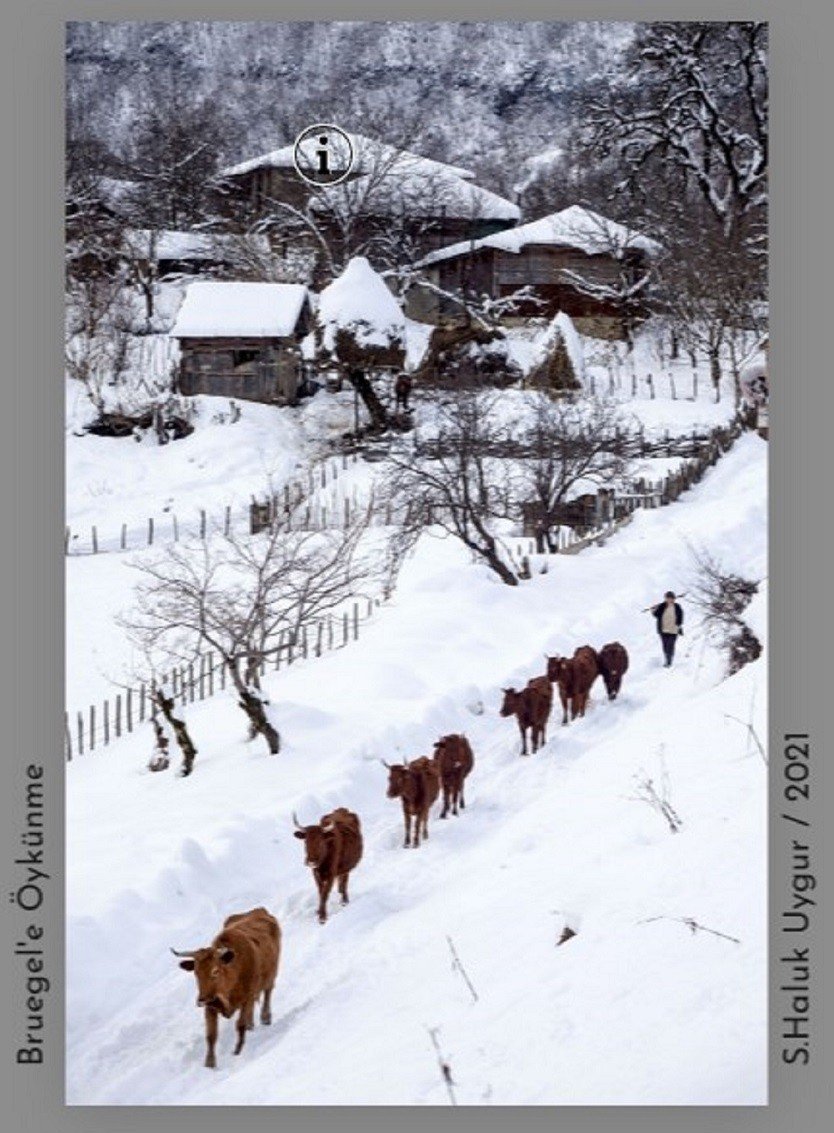 Haluk Uygur’dan çevrimiçi "Manzaralarım" fotoğraf sergisi