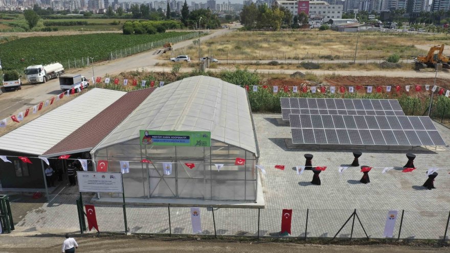 Meyve-sebze kurutma tesisi açıldı