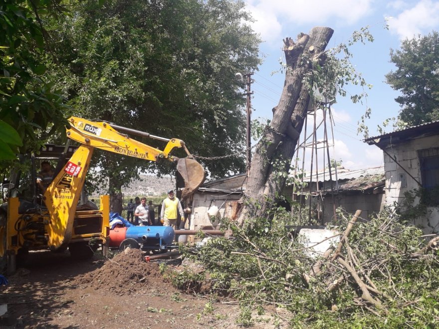 Yarım asırlık dut ağacı fırtınada evin üzerine devrildi
