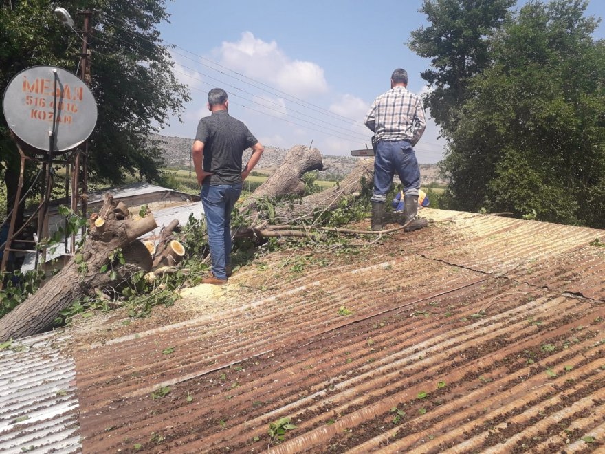 Yarım asırlık dut ağacı fırtınada evin üzerine devrildi