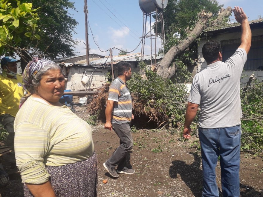 Yarım asırlık dut ağacı fırtınada evin üzerine devrildi