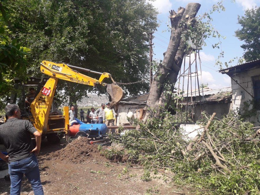 Yarım asırlık dut ağacı fırtınada evin üzerine devrildi