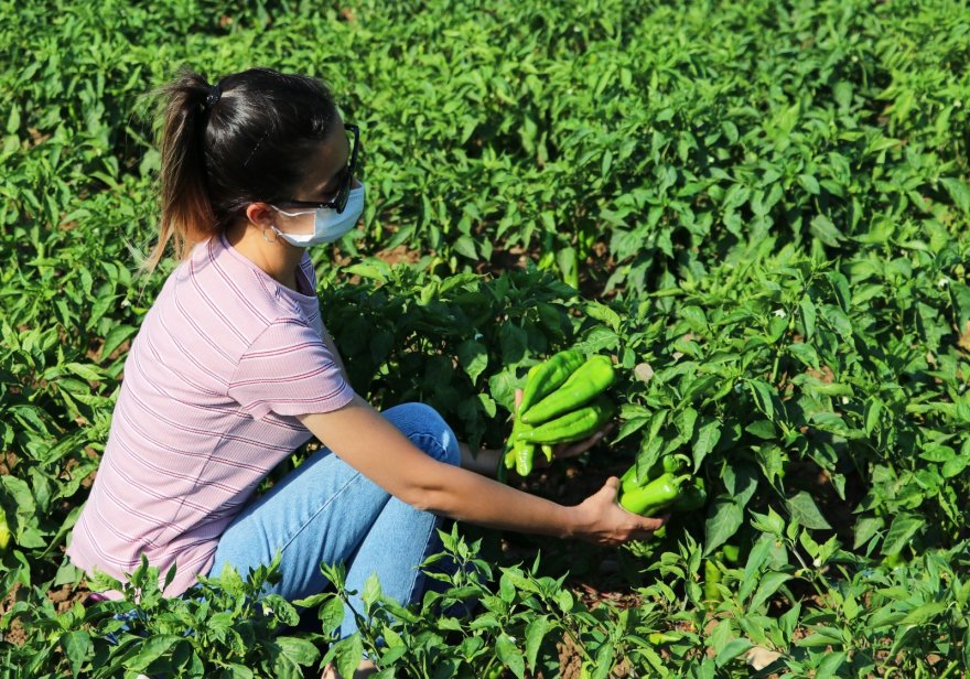 "Hayriye" yüz güldürecek