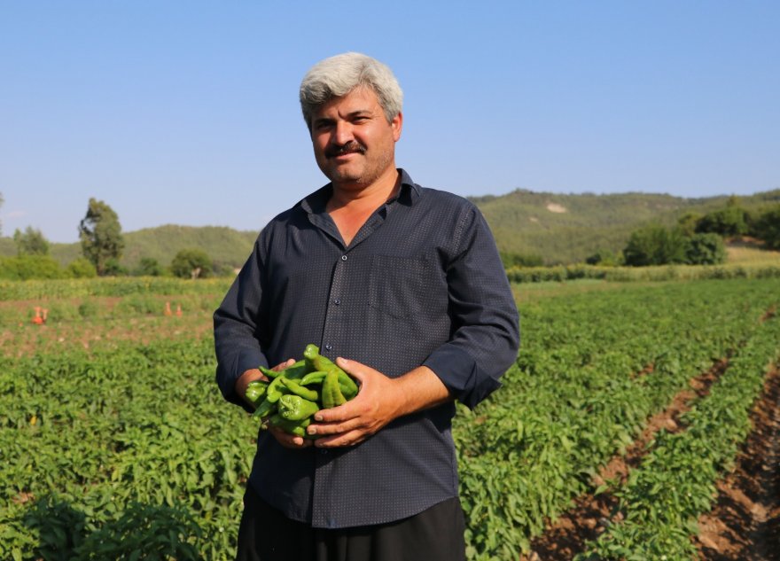 "Hayriye" yüz güldürecek