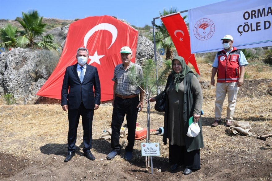 251 kahraman anısına 251 fidan dikildi