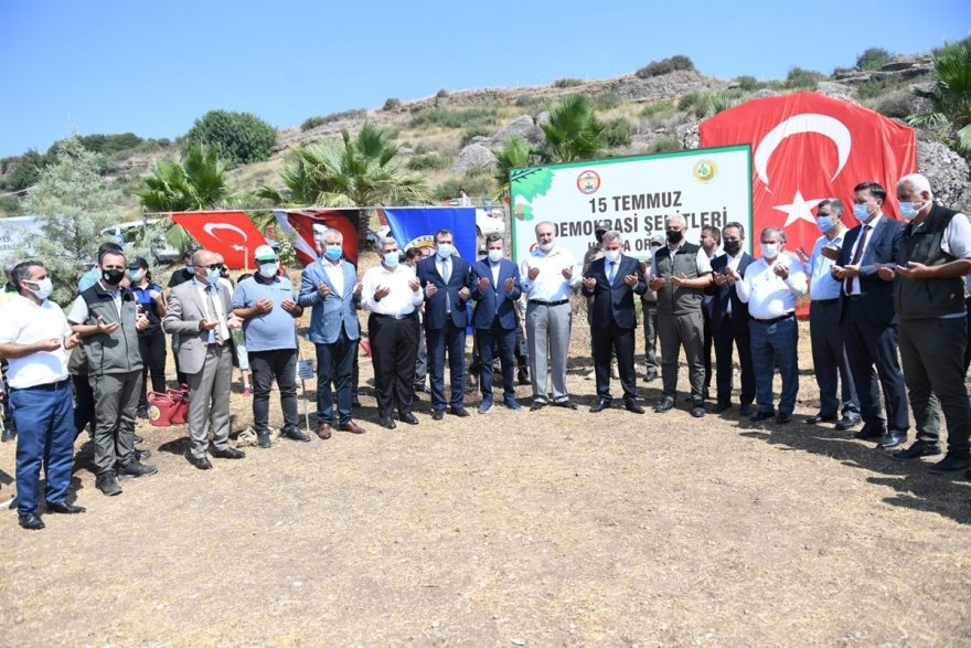 251 kahraman anısına 251 fidan dikildi