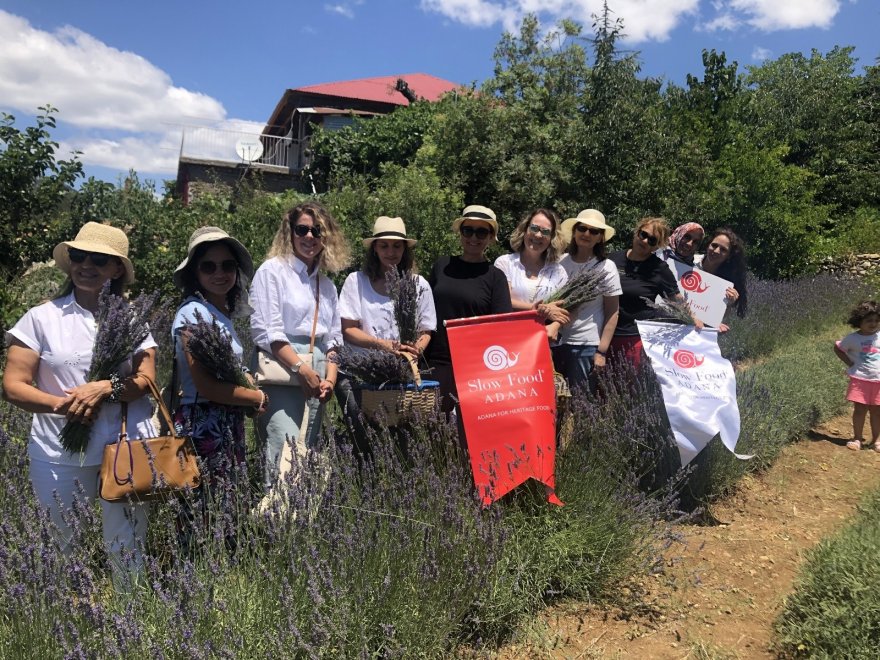 Kadınların büyüttüğü lavantaları yine kadınlar hasat etti
