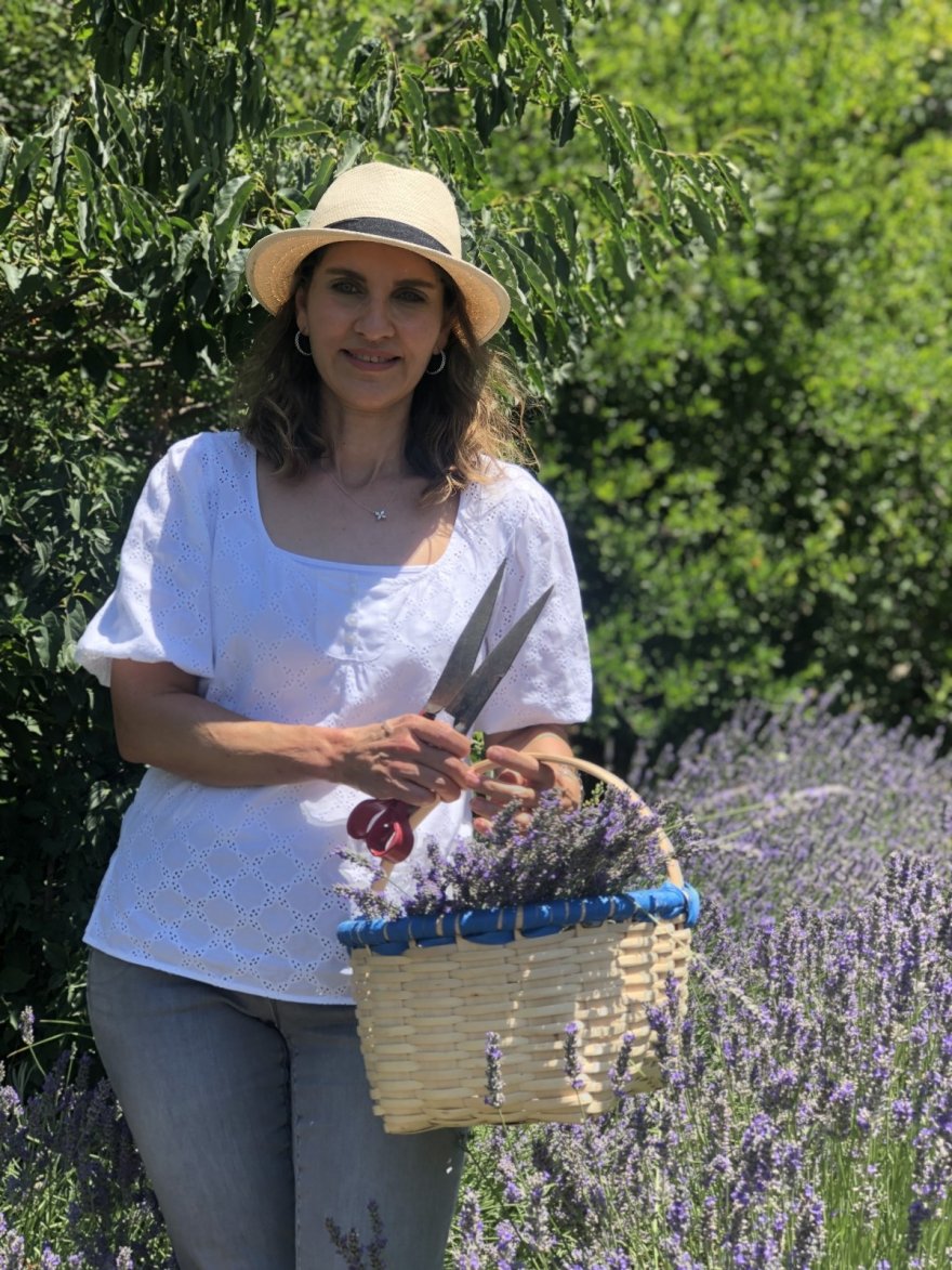 Kadınların büyüttüğü lavantaları yine kadınlar hasat etti