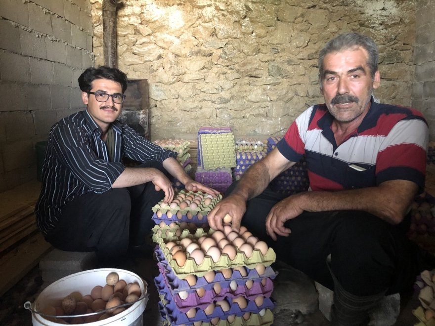 Binlerce tavuk gençlerin geleceği oldu
