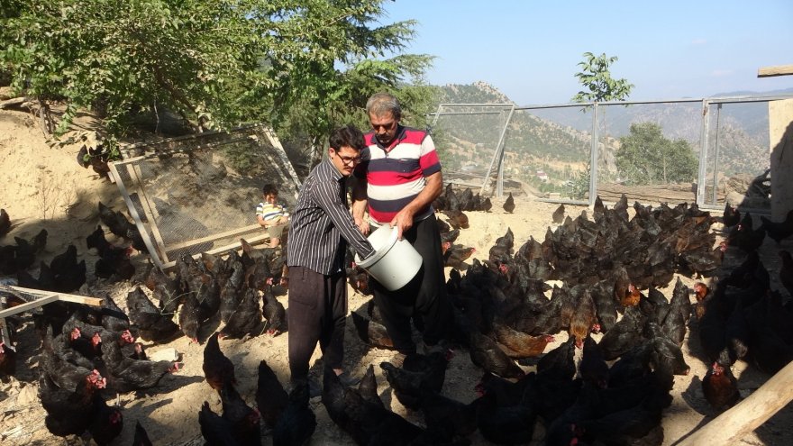 Binlerce tavuk gençlerin geleceği oldu