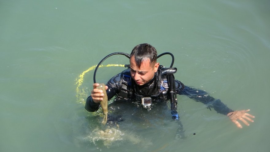 Denizden traktör tekeri de çıktı, klozet de