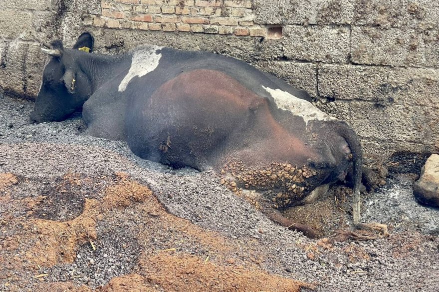Aladağ’daki yangını söndürme çalışmaları sürüyor