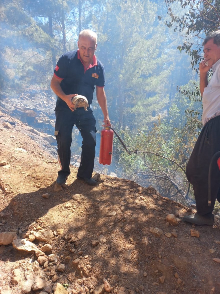 İtfaiye ekipleri kaplumbağayı yanmaktan son anda kurtardı