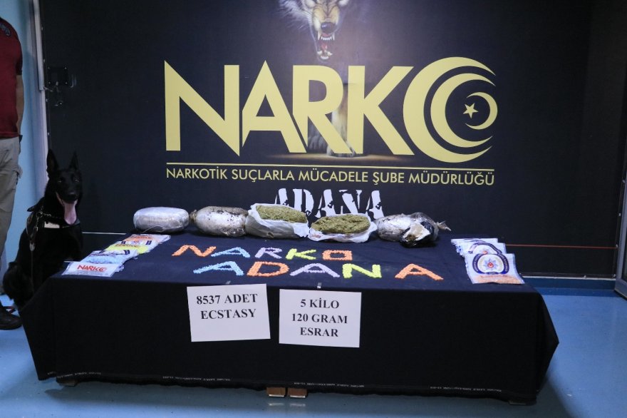 Patlıcan ve biber tarlasına uyuşturucu operasyonu