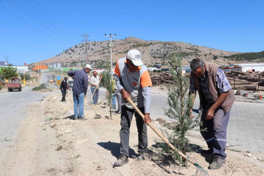 Kozan OSB ağaçlandırıldı