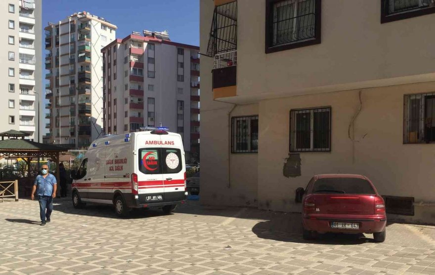 "Öleceksin" diyerek yengesine saldırdı kendisi öldü