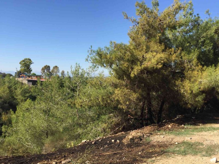 Ormanı yakan iki kardeş yakalandı