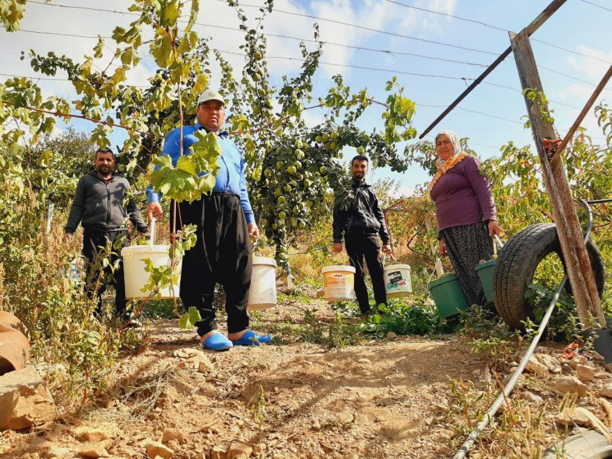 Toroslarda son pekmez kazanları kaynadı