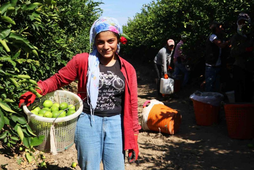 Dünya Kadın Çiftçiler Günü’nde tarlada çalışırken gül alınca şaşırdılar